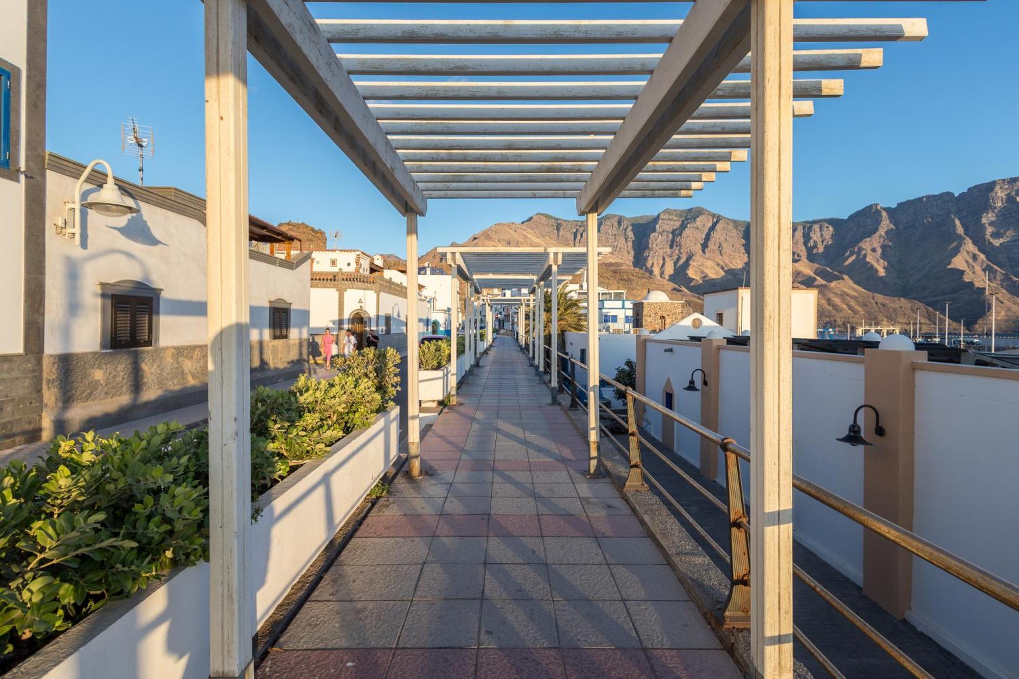 Casa Rural Villa Janeth Con Amplia Terraza Agaete アガエテ エクステリア 写真